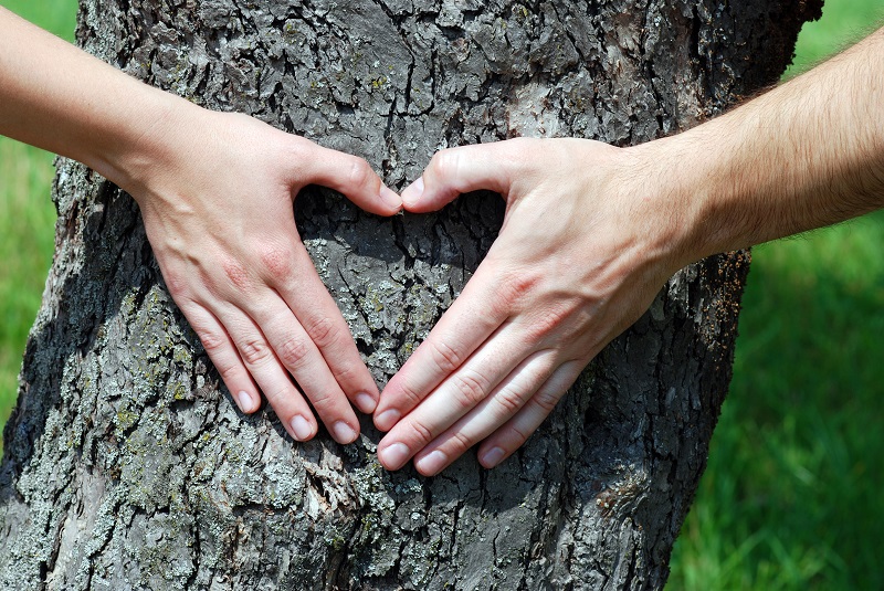 Dłonie układające się w serce, przyłożone do pnia drzewa